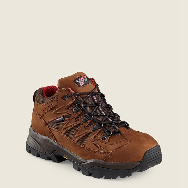 Bottes de Randonnée Red Wing - Truhiker - 3-Inch Waterproof Safety Toe - Marron - Homme 192SCTWOZ